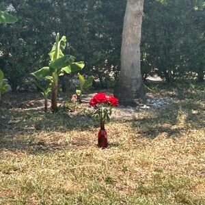 Meet your Posher, Ori